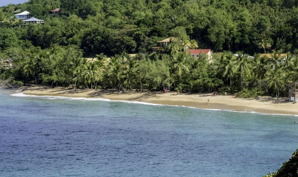 Studio Anse L'Etang Apartment Tartane Bagian luar foto