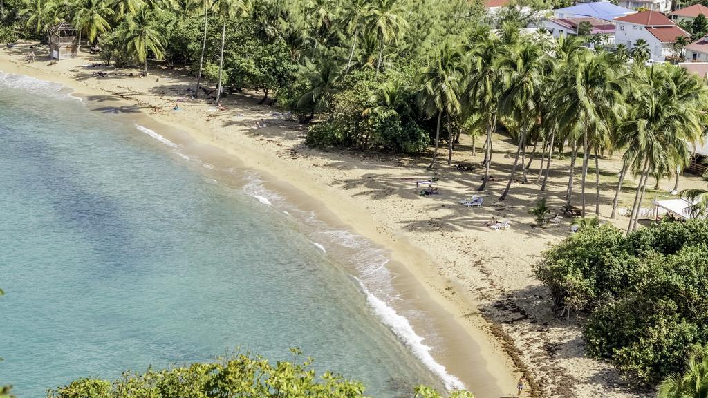 Studio Anse L'Etang Apartment Tartane Bagian luar foto
